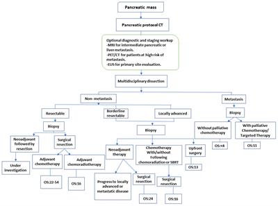 Pancreatic ductal adenocarcinoma: the latest on diagnosis, molecular profiling, and systemic treatments